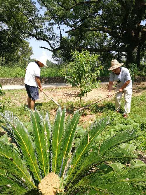 繡”好就業(yè)扶貧“花”——記江西省宜豐縣良田鋪村駐村第一書(shū)記熊仕睿