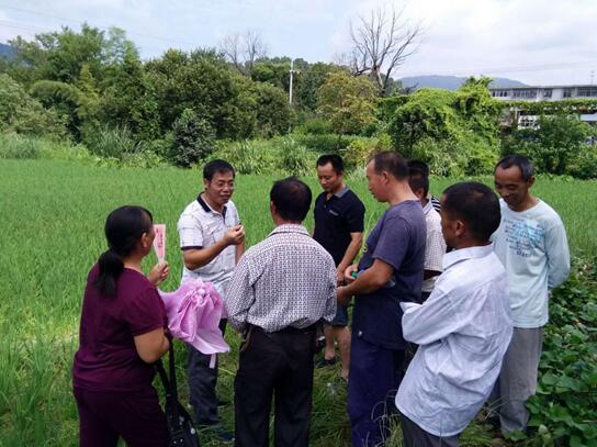 江西奉新：開展精準扶貧水稻種植培訓