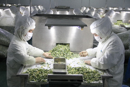 山東臨沂：精準(zhǔn)扶貧 就業(yè)先行