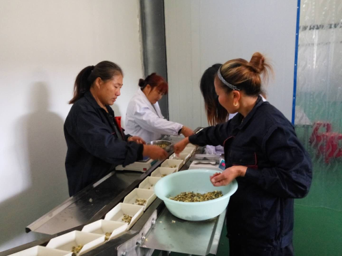 345B97EAB17BAA747EA307FDD46C3210