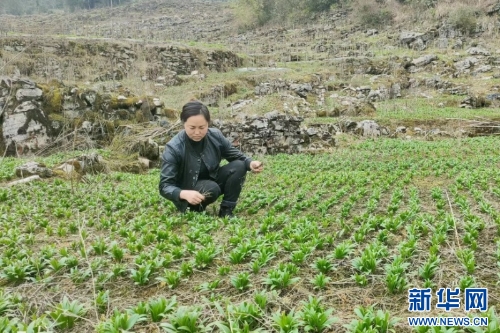 202403204e59d37bbd244e588f507106ae6cf652_20240318851ff72fa3284638bf6900a9a0fce20c