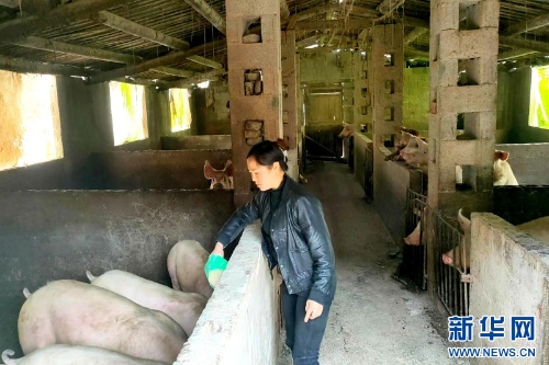 202403204e59d37bbd244e588f507106ae6cf652_20240318779f3e6d80bc40dd8641543dbfb091eb