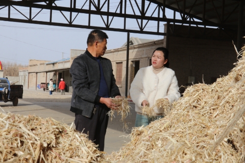 202403190c701e1acc6049d49efa94de802974f3_20240319a13681a9d6f54476bd7c92fdf645277d