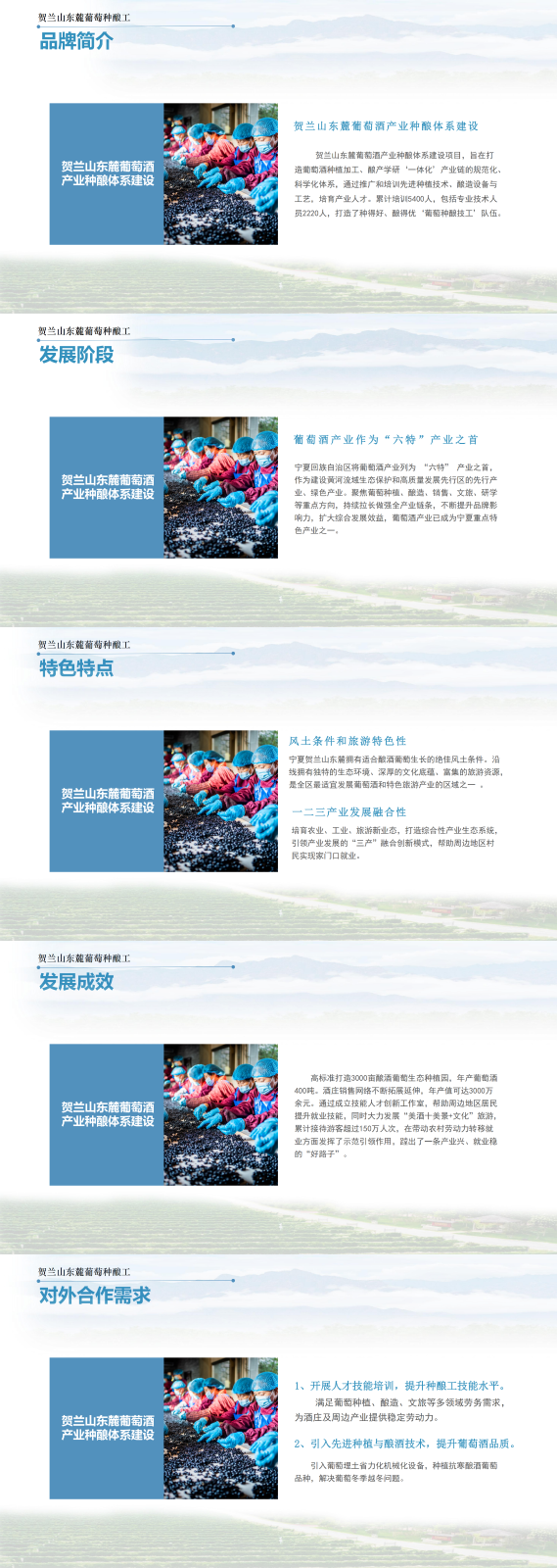 寧夏賀蘭山東麓葡萄種釀工