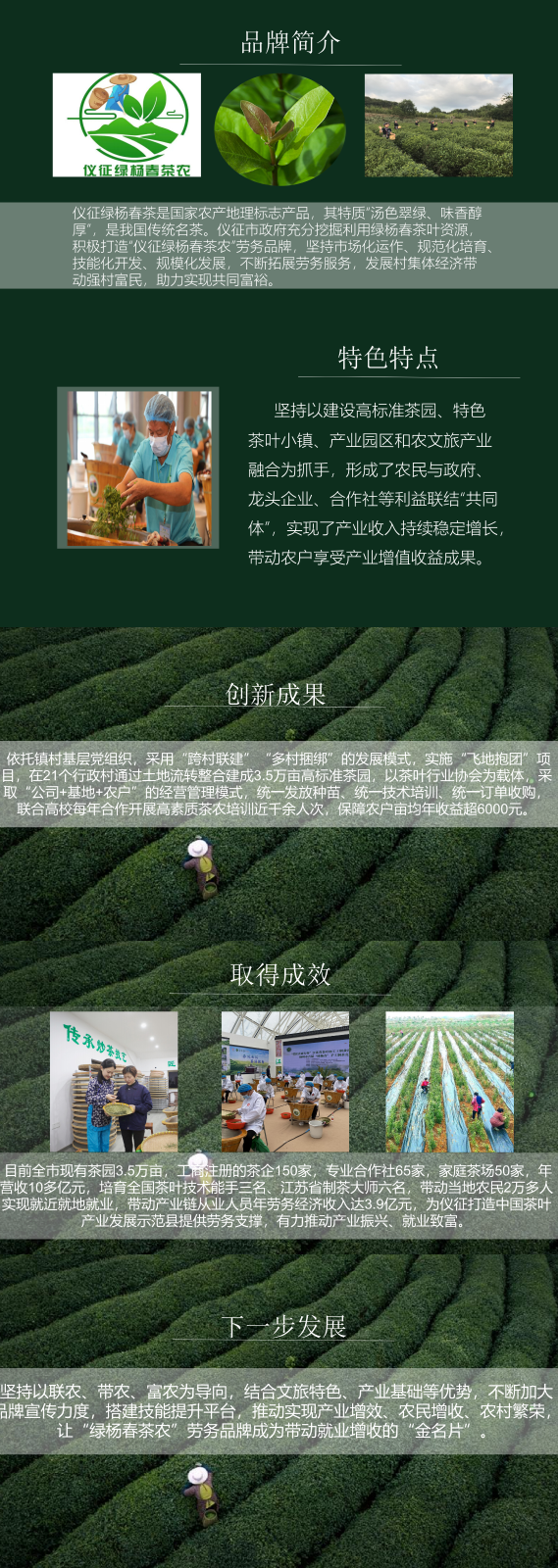 儀征綠楊春茶農(nóng)