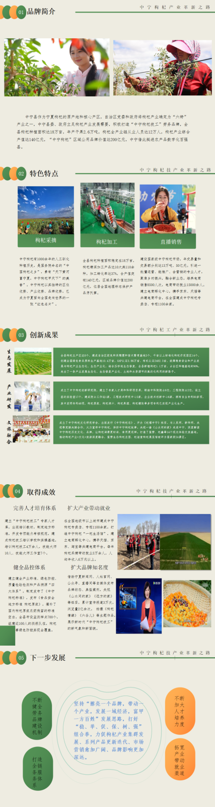 寧夏中寧枸杞技工