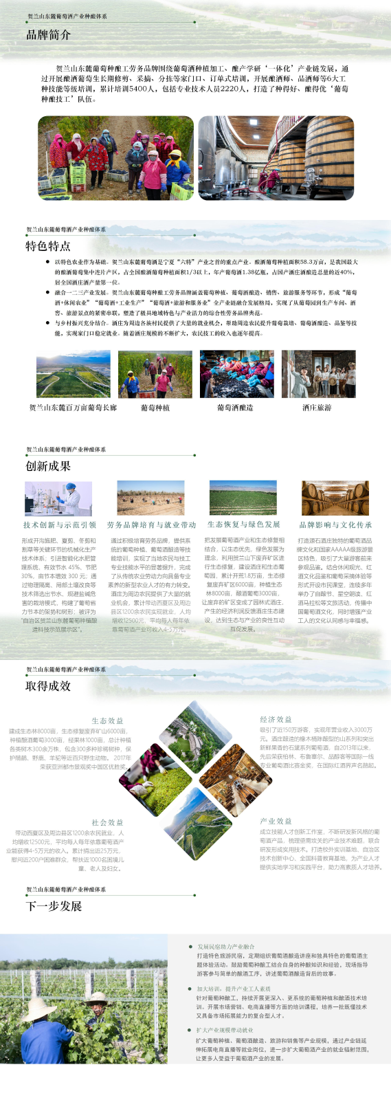 寧夏賀蘭山東麓葡萄種釀工