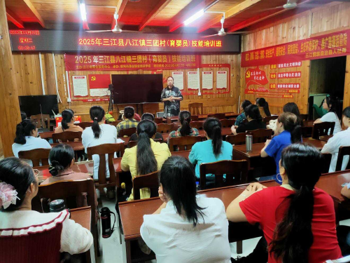 W020250528323035647515