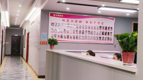 益陽(yáng)桃花江保姆+家政勞務(wù)品牌照片+6