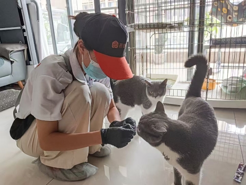 “邑管家”家政勞務(wù)品牌照片1